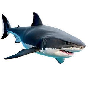 Great White Shark In High Definition PNG 06122024