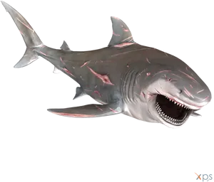 Great White Shark Open Mouth PNG image