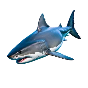 Great White Shark Png 05032024 PNG image