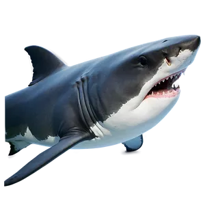 Great White Shark Png Vmq PNG image