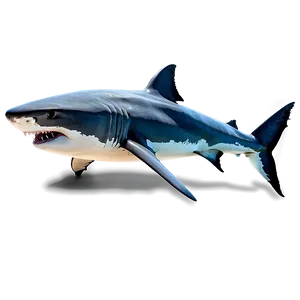 Great White Shark Png Wyw52 PNG image