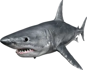 Great White Shark Portrait