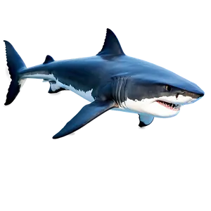 Great White Shark Predator Png Aup89 PNG image