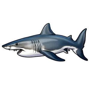 Great White Shark Side View Png 38 PNG image