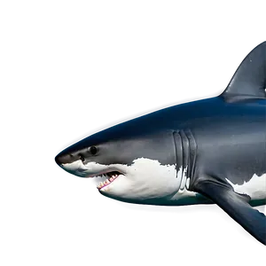 Great White Shark Side View Png Aiw98 PNG image