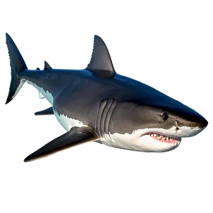 Great White Shark Swimming PNG 89