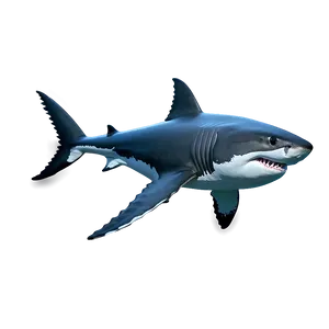 Great White Shark Theme Png Cfd3 PNG image