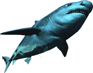 Great_ White_ Shark_ Underwater PNG image