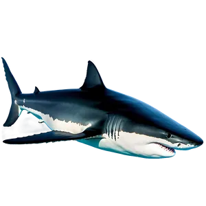 Great White Shark Underwater PNG 06122024