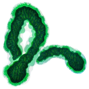 Green Algae Illustration Png 06212024 PNG image