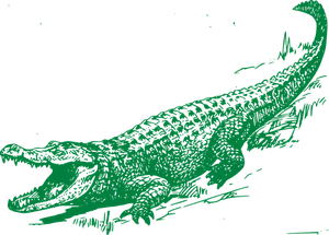 Green Alligator Illustration