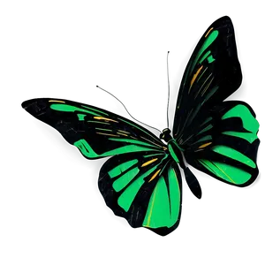 Green And Black Butterfly Design Png 06202024 PNG image