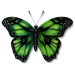 Green And Black Butterfly Design Png Jpe PNG image