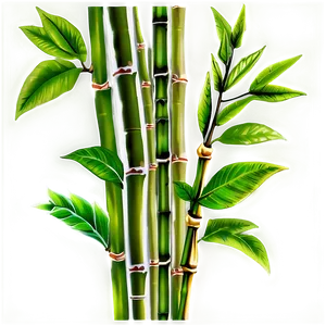 Green Bamboo Leaves Png 05232024 PNG image