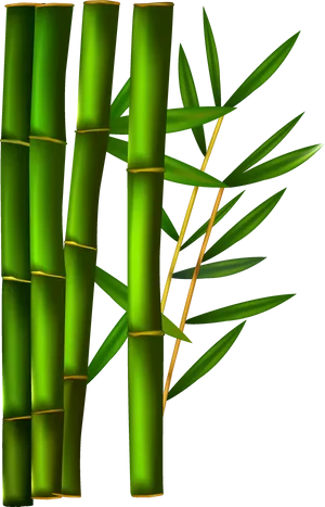 Green Bamboo Stalksand Leaves PNG image