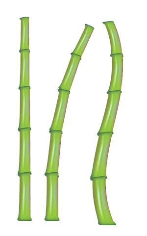 Green Bamboo Stickson Black Background PNG image