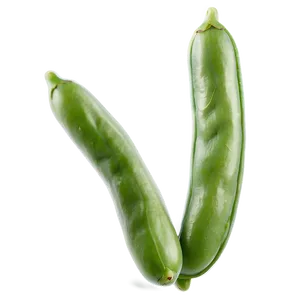 Green Bean Drawing Png 05242024 PNG image