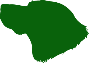 Green Bear Silhouette PNG image