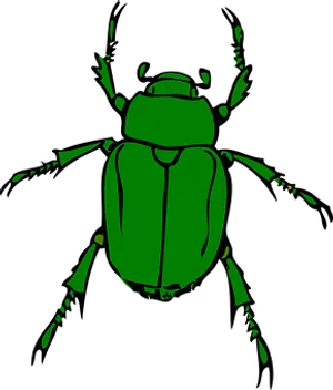 Green Beetle Illustration PNG image