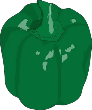 Green Bell Pepper Illustration PNG image