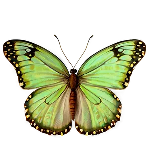 Green Butterflies PNG Osg79