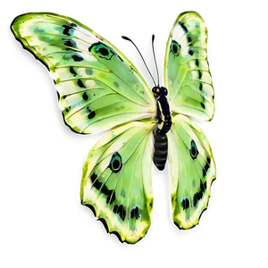 Green Butterfly In Garden PNG Vbd PNG