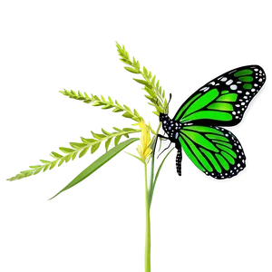 Green Butterfly In Grass Png Afv PNG image