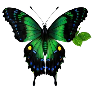 Green Butterfly In Nature PNG 06202024