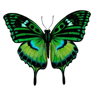 Green Butterfly In Nature Png Bwj PNG image