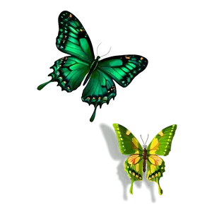 Green Butterfly Landing Png 79 PNG image