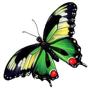 Green Butterfly Landing PNG Awa PNG