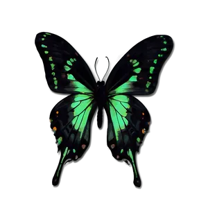 Green Butterfly On Black Background Png Osy PNG image