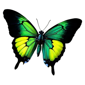 Green Butterfly On Black Background PNG Ydj77 PNG