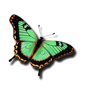 Green Butterfly On White Background PNG Fjb PNG