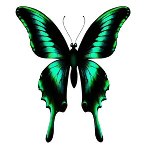 Green Butterfly On White Background PNG Sip2 PNG