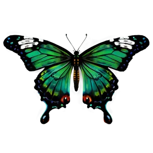 Green Butterfly PNG 33