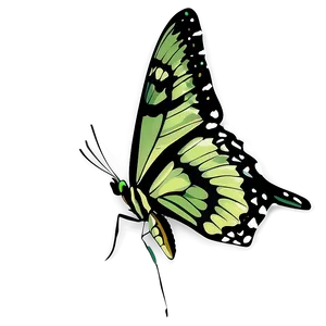Green Butterfly PNG Wpe