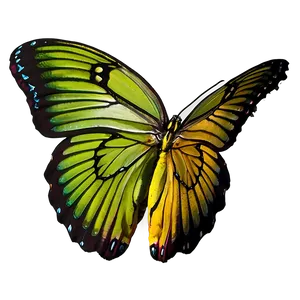 Green Butterfly Wings Spread Png 06202024 PNG image