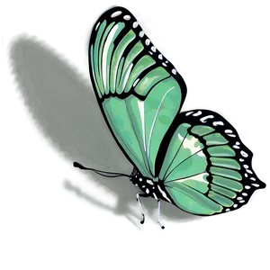 Green Butterfly With Shadow PNG 06202024 PNG