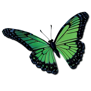 Green Butterfly With Shadow PNG 24 PNG