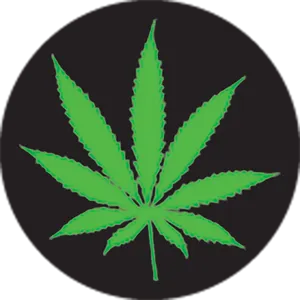 Green Cannabis Leaf Black Background PNG image