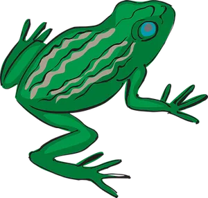 Green Cartoon Frog Illustration