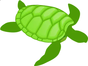 Green Cartoon Turtle Illustration PNG image