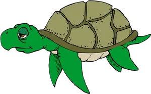 Green Cartoon Turtle Illustration PNG image