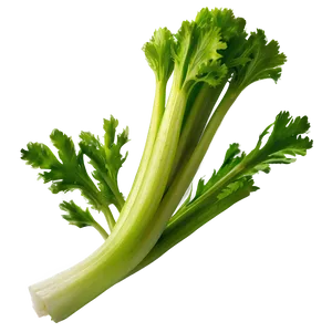 Green Celery Png 06252024 PNG image