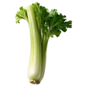 Green Celery Png Alb PNG image