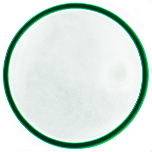 Green Circle Outline Png Siq7 PNG image