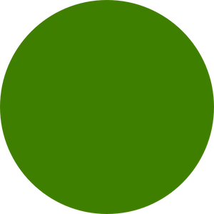 Green Circle Vector Graphic PNG image