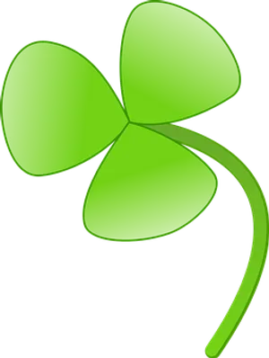 Green Clover Illustration PNG image