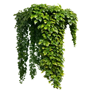 Green Creeper Texture Png Nrv68 PNG image